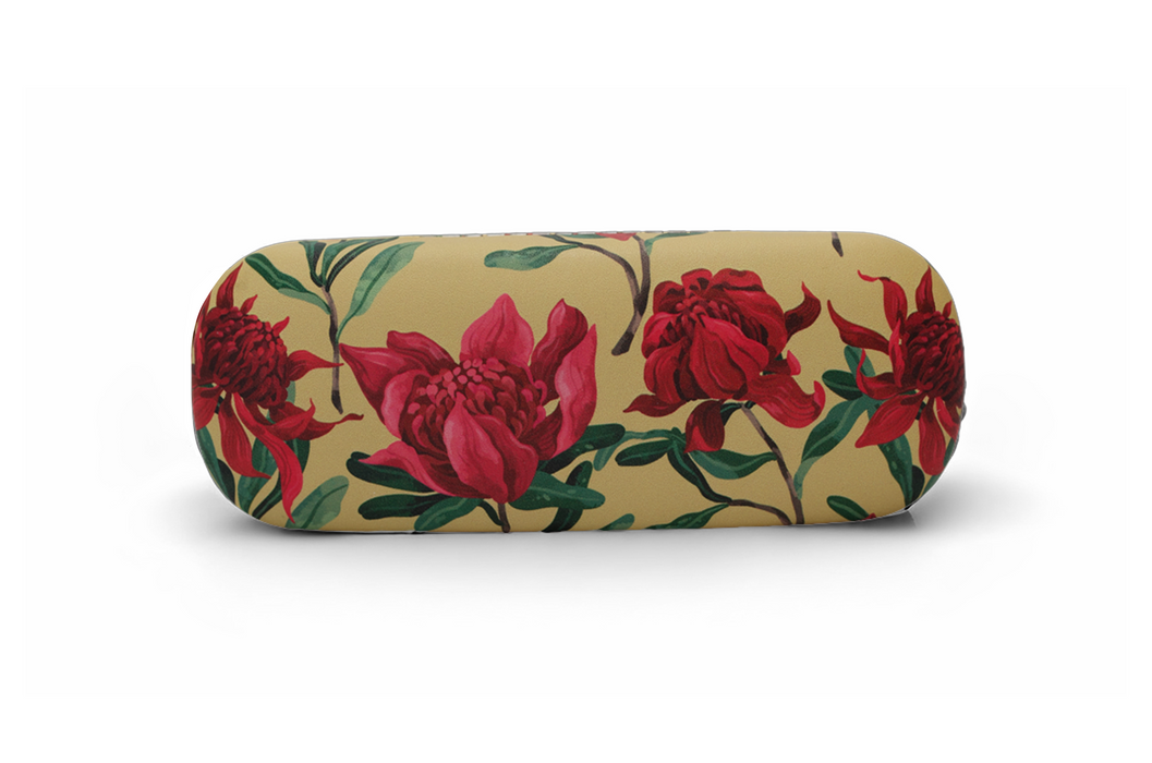 Glasses Case with matching Microfibre Cloth - Hard Case