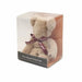 A bear-shaped towel gift in a clear plastic box with a black label at the bottom and a dark brown ribbon tied around the bear.