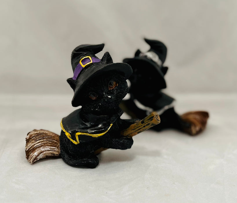 Witchy Cat on Magical Broomstick