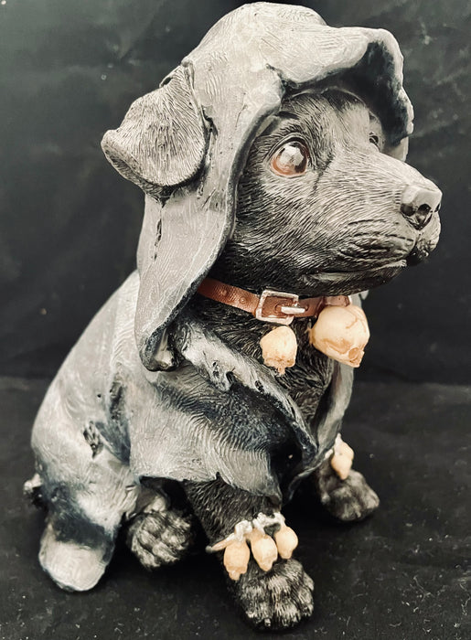 Gothic Dog Witch with Skull Collar