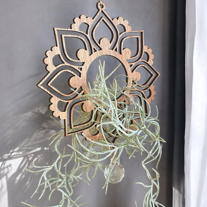 Mandala Sun Catcher Air Plant Hanger