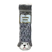 Novelty Reading Socks - Warm and Comfy
