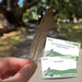 Hand holding a feather with a scavenger hunt card in the background