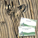 Educational card game on a wooden surface