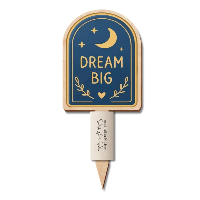 A wooden arch-shaped garden stake with a navy blue sign that reads 'DREAM BIG' in gold lettering, decorated with a crescent moon, stars, and small leaves. The stake is inserted into a light-colored wooden base, with the brand name 'Australian Pickies' printed on it, set against a plain white background.