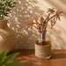 A glass reed diffuser bottle wrapped in natural jute fabric, topped with a laser-cut wooden Buddha and palm tree branch holder, set on a wooden table with a warm beige wall and leaf shadows.