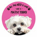 A circular coaster featuring a white Maltese Terrier dog against a bright pink background, with the text 'ALL YOU NEED IS LOVE - AND A - MALTESE TERRIER' in black lettering and small black paw prints.
