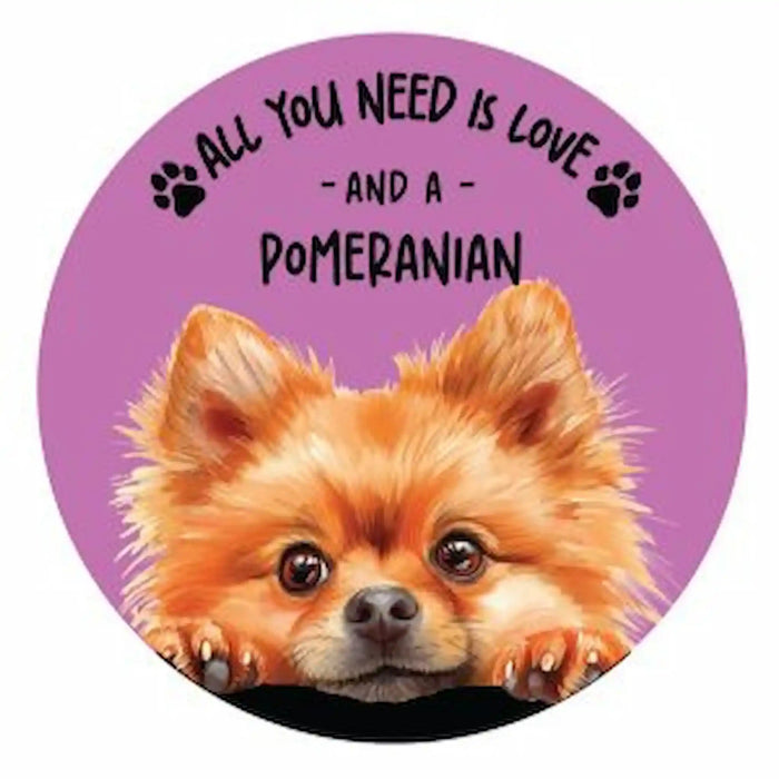 A circular coaster featuring a Pomeranian dog peeking over a black surface against a purple background, with the text 'ALL YOU NEED IS LOVE - AND A - POMERANIAN' in black lettering and paw prints.