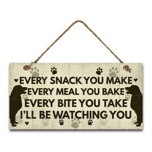 I'll Be Watching You MDF Dog Wall Hanging