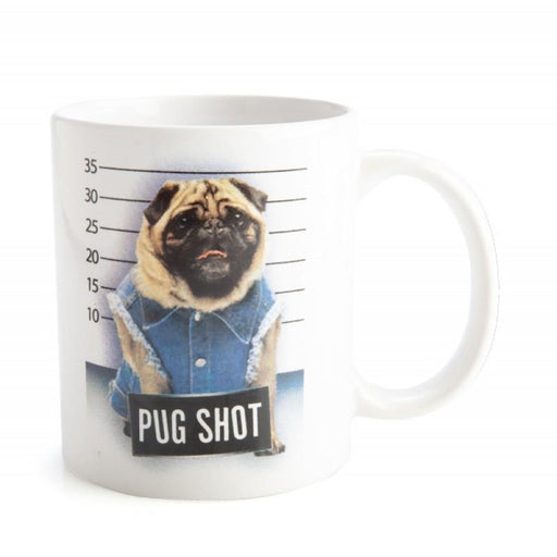 Pug Shot Mug Kitchen MDI 
