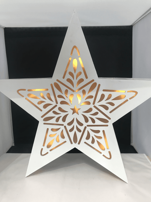 White Star LED Light Christmas Coast to Coast 
